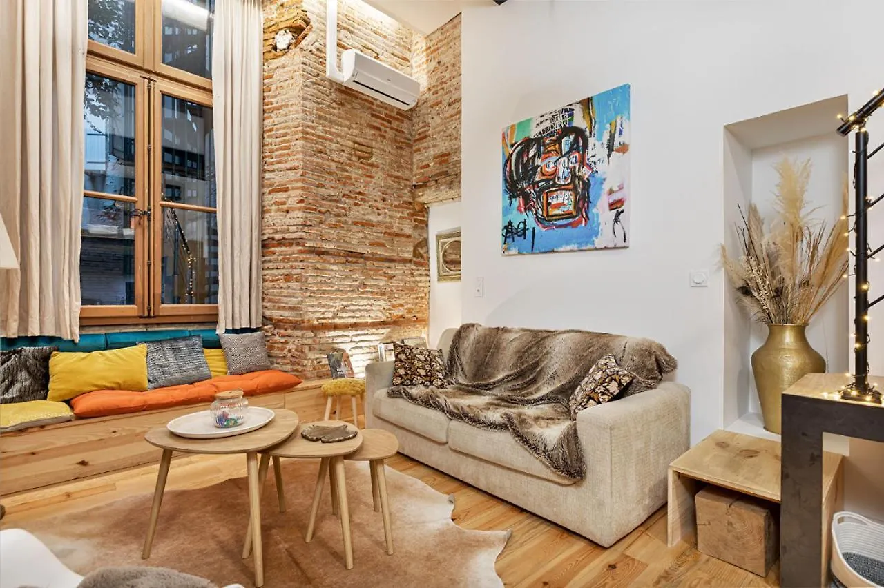 Loft, Briques Roses Et Authentiquement Toulousain Apartment Toulouse 0*,